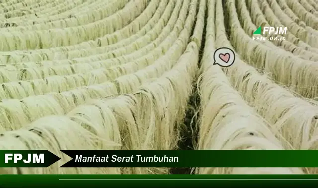 manfaat serat tumbuhan