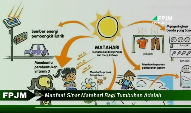 manfaat sinar matahari bagi tumbuhan adalah