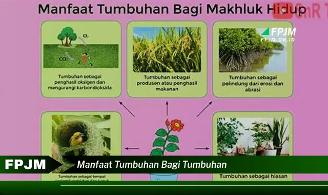 manfaat tumbuhan bagi tumbuhan