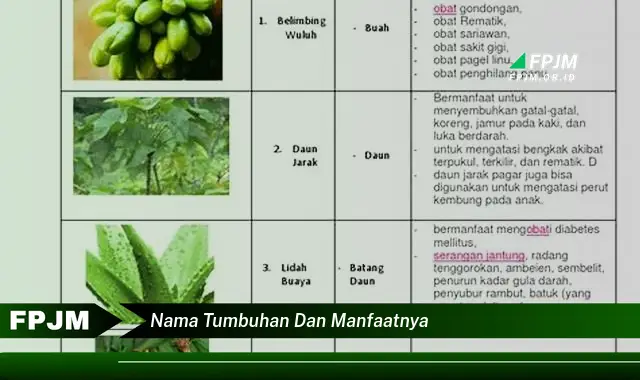 nama tumbuhan dan manfaatnya