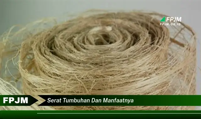 serat tumbuhan dan manfaatnya