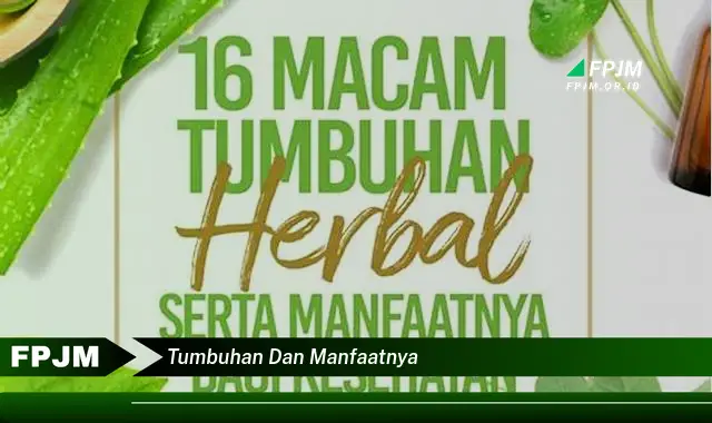 tumbuhan dan manfaatnya tumbuhan dan manfaatnya