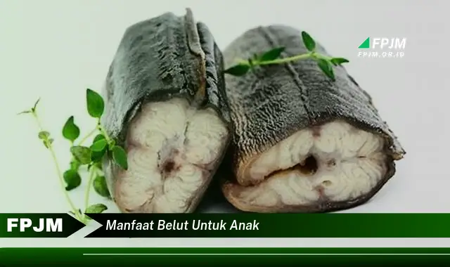manfaat belut untuk anak manfaat belut untuk anak