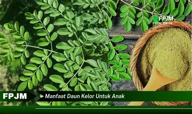 manfaat daun kelor untuk anak