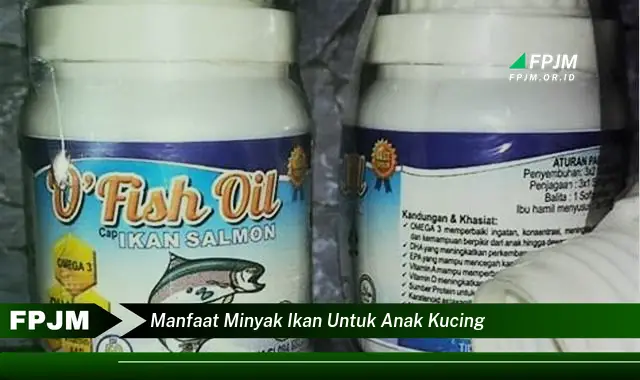 manfaat minyak ikan untuk anak kucing manfaat minyak ikan untuk anak kucing