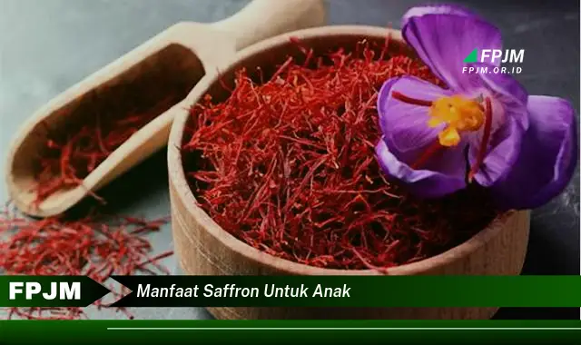 manfaat saffron untuk anak