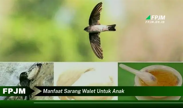 manfaat sarang walet untuk anak