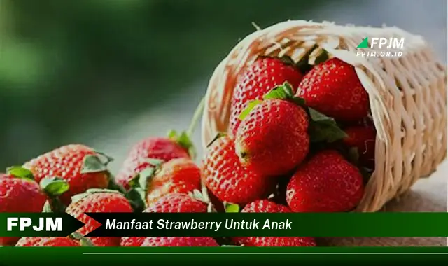 manfaat strawberry untuk anak manfaat strawberry untuk anak