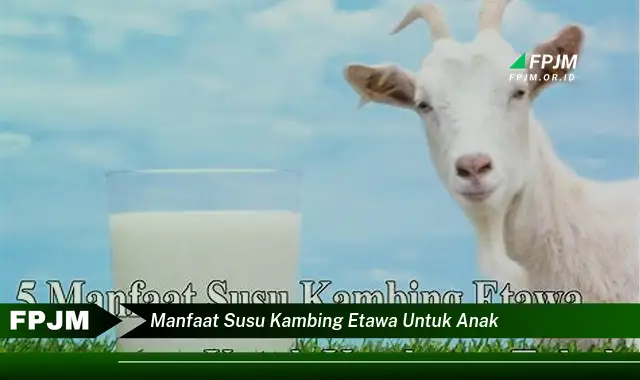 manfaat susu kambing etawa untuk anak manfaat susu kambing etawa untuk anak