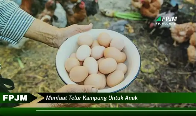 manfaat telur kampung untuk anak