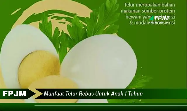 manfaat telur rebus untuk anak 1 tahun