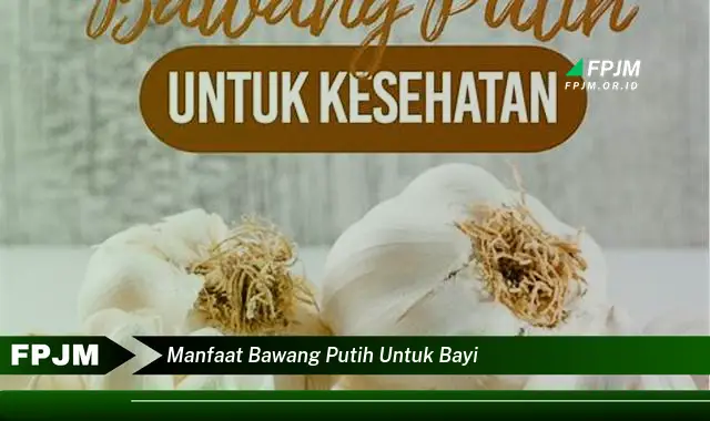 manfaat bawang putih untuk bayi manfaat bawang putih untuk bayi