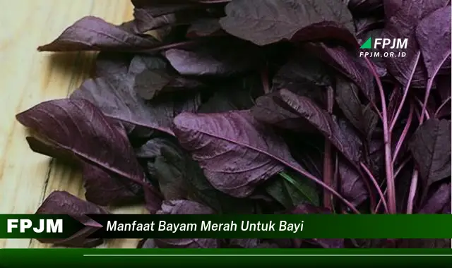 manfaat bayam merah untuk bayi