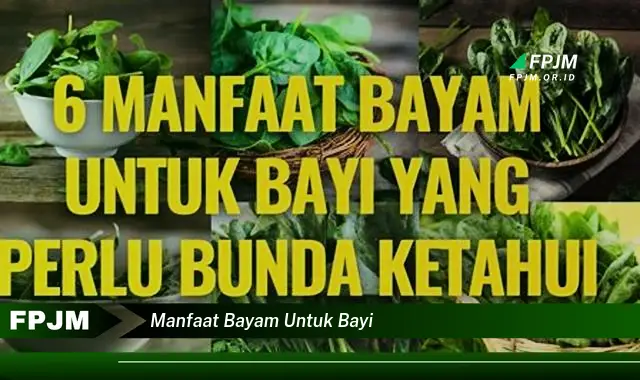 manfaat bayam untuk bayi manfaat bayam untuk bayi
