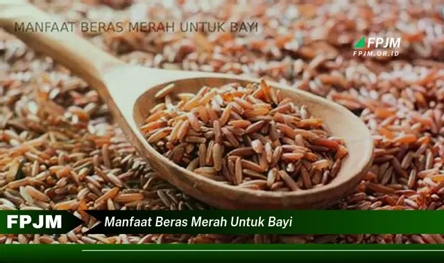 manfaat beras merah untuk bayi