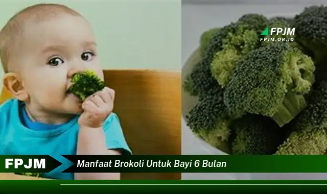 manfaat brokoli untuk bayi 6 bulan manfaat brokoli untuk bayi 6 bulan