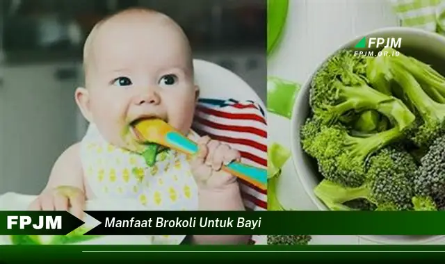 manfaat brokoli untuk bayi manfaat brokoli untuk bayi