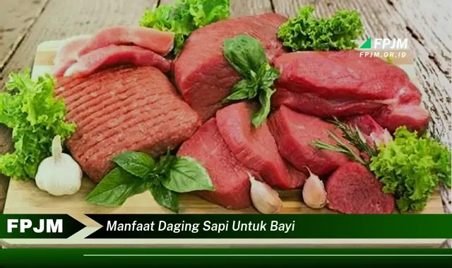 manfaat daging sapi untuk bayi manfaat daging sapi untuk bayi