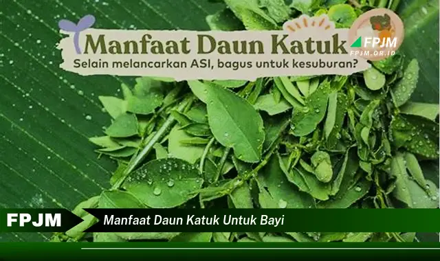 manfaat daun katuk untuk bayi