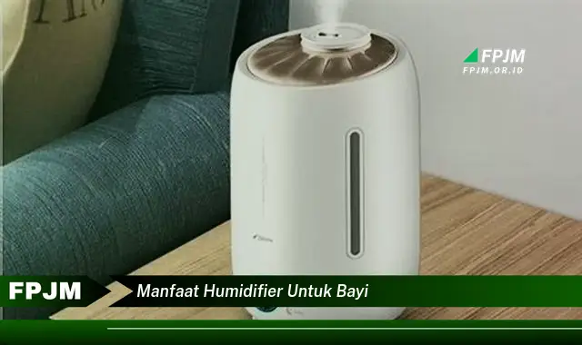 manfaat humidifier untuk bayi