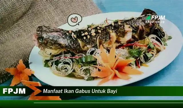 manfaat ikan gabus untuk bayi manfaat ikan gabus untuk bayi