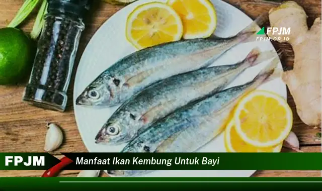 manfaat ikan kembung untuk bayi