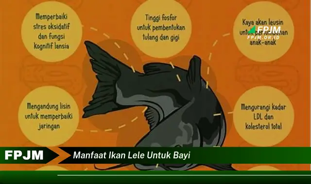 manfaat ikan lele untuk bayi