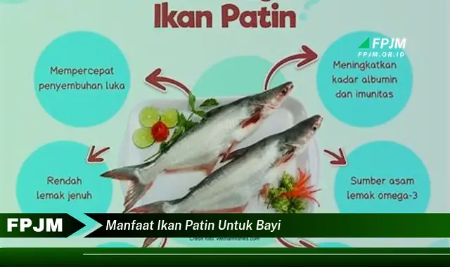 manfaat ikan patin untuk bayi