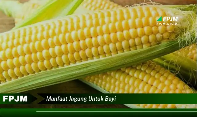manfaat jagung untuk bayi