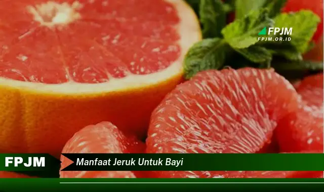 manfaat jeruk untuk bayi manfaat jeruk untuk bayi