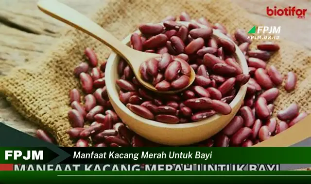 manfaat kacang merah untuk bayi