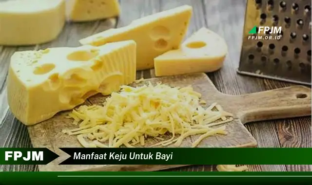 manfaat keju untuk bayi manfaat keju untuk bayi
