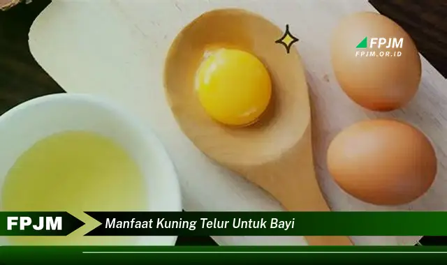manfaat kuning telur untuk bayi