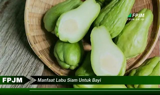 manfaat labu siam untuk bayi manfaat labu siam untuk bayi