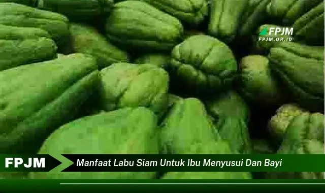 manfaat labu siam untuk ibu menyusui dan bayi