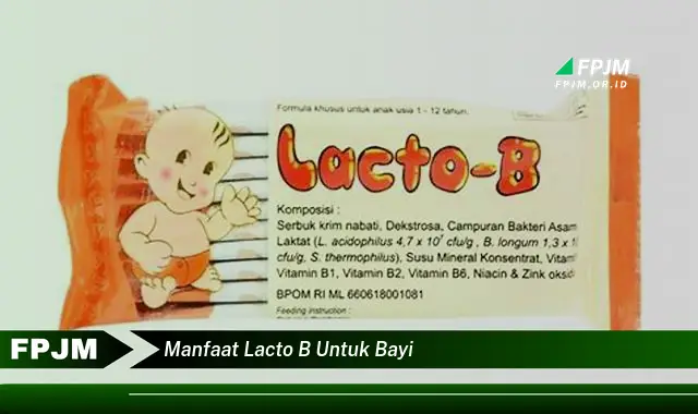 manfaat lacto b untuk bayi