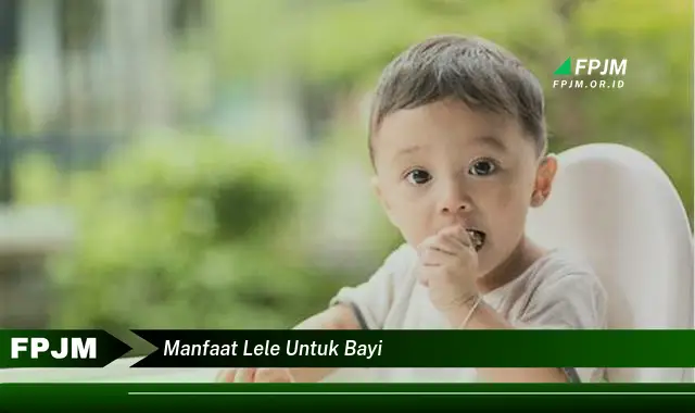 manfaat lele untuk bayi