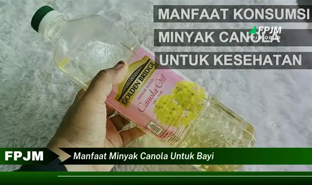 manfaat minyak canola untuk bayi