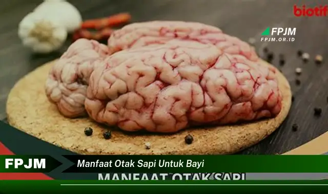 manfaat otak sapi untuk bayi