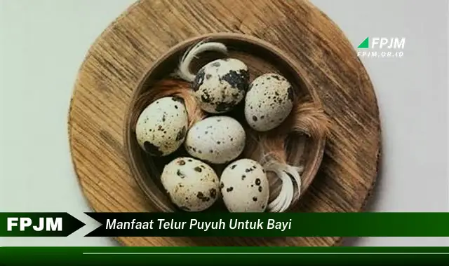manfaat telur puyuh untuk bayi manfaat telur puyuh untuk bayi