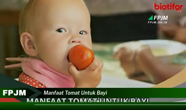 manfaat tomat untuk bayi