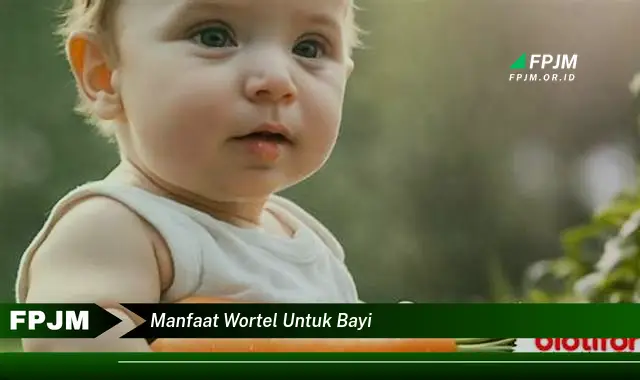 manfaat wortel untuk bayi