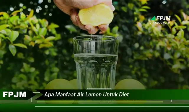 apa manfaat air lemon untuk diet apa manfaat air lemon untuk diet