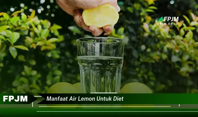 manfaat air lemon untuk diet manfaat air lemon untuk diet