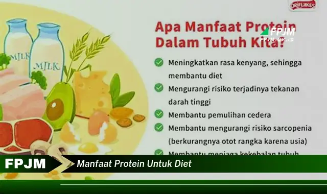 manfaat protein untuk diet