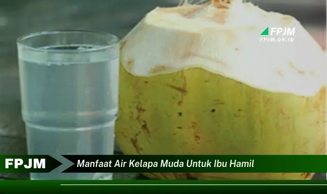 manfaat air kelapa muda untuk ibu hamil manfaat air kelapa muda untuk ibu hamil