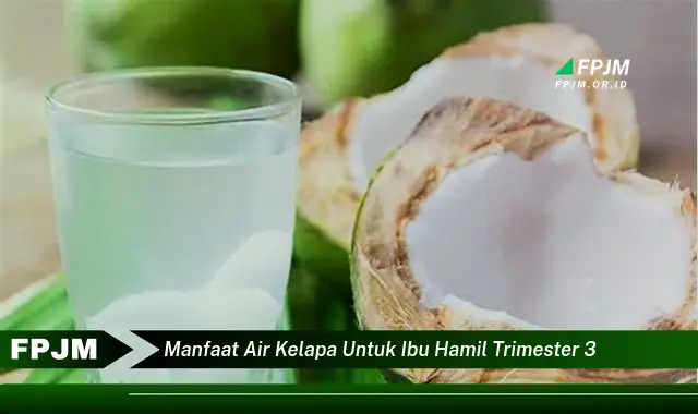 manfaat air kelapa untuk ibu hamil trimester 3