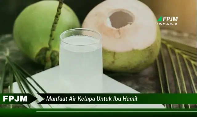manfaat air kelapa untuk ibu hamil