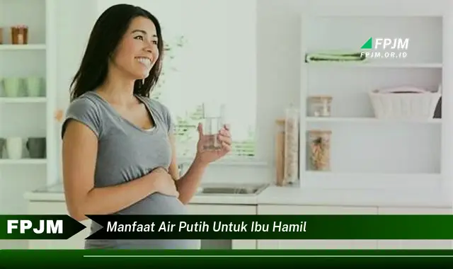 manfaat air putih untuk ibu hamil manfaat air putih untuk ibu hamil