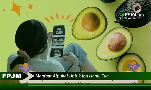 manfaat alpukat untuk ibu hamil tua